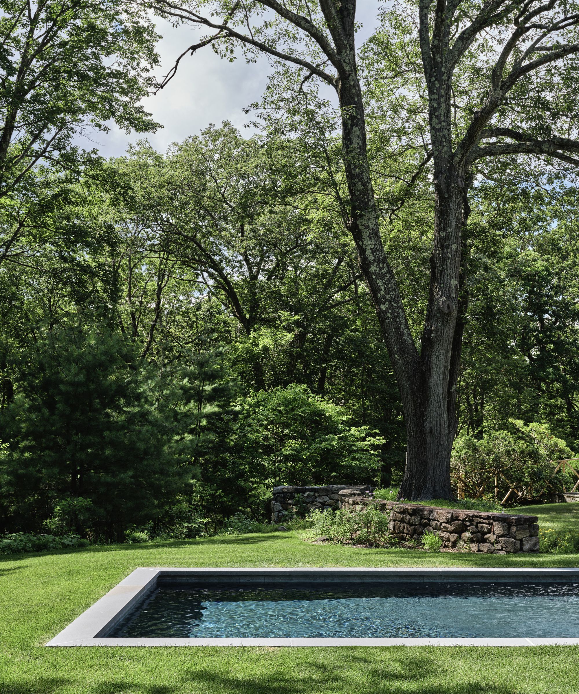 a sunken swimming pool surrounded by grass and woodland