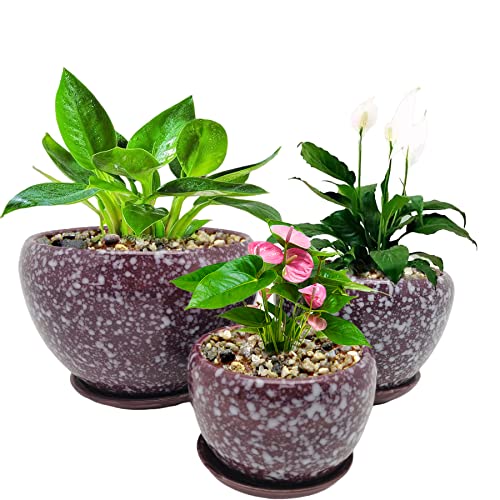 Ceramic Plant Pots Set of 3-Modern Plant Containers With Tray and Drainage Hole, Fits All Houseplants, Flowers and Succulents, Diameter 4.1+5.3+6.9 Inches, Purple