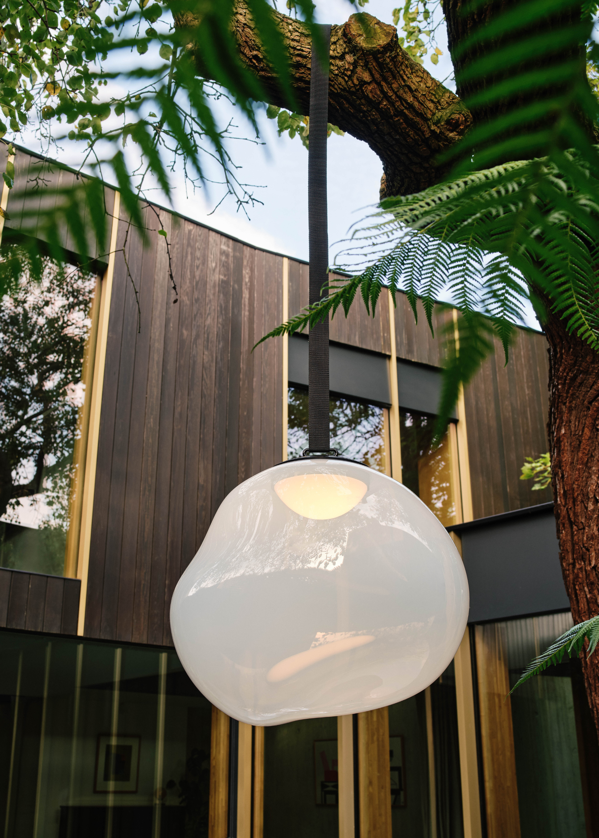 A Tom Dixon lamp hanging from a tree branch in a backyard