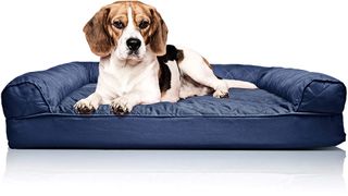 Furhaven orthopedic dog bed