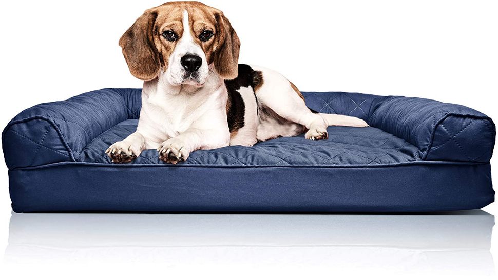 Best orthopedic dog bed 2024 PetsRadar