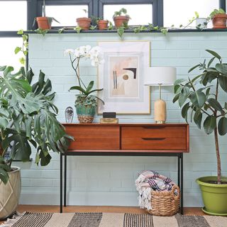 Conservatory area with console table and an assortment of houseplants