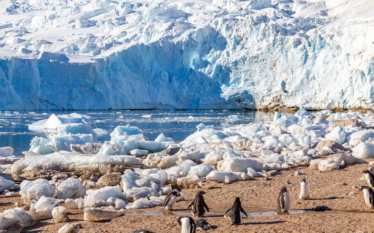 Ghost Particles and Singing Ice: 11 Wild Antarctic Stories from 2018 | Live  Science