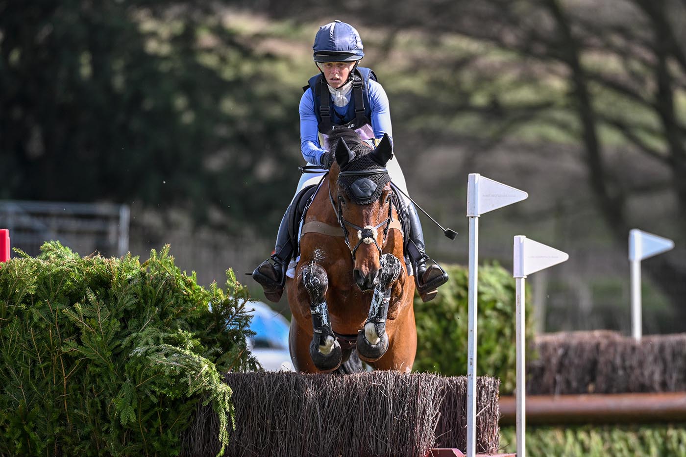 THORESBY PARK INTERNATIONAL