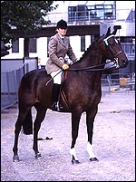 128DD979-0766-4894-8447-5C753E925611.jpg