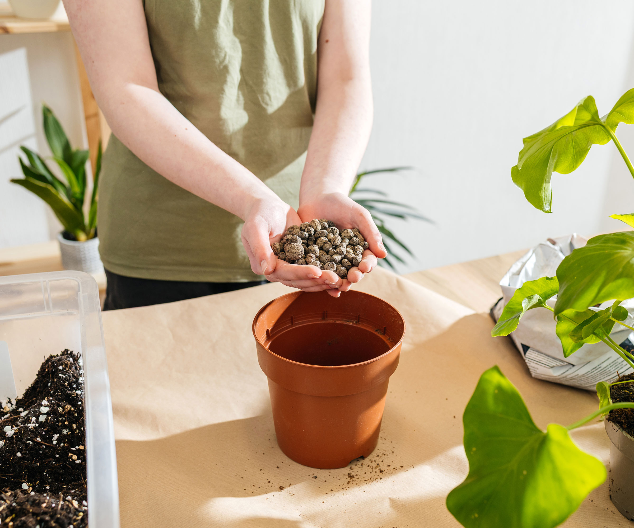 person holding expanding clay or gravel pebbles over small brown plastic plant pot