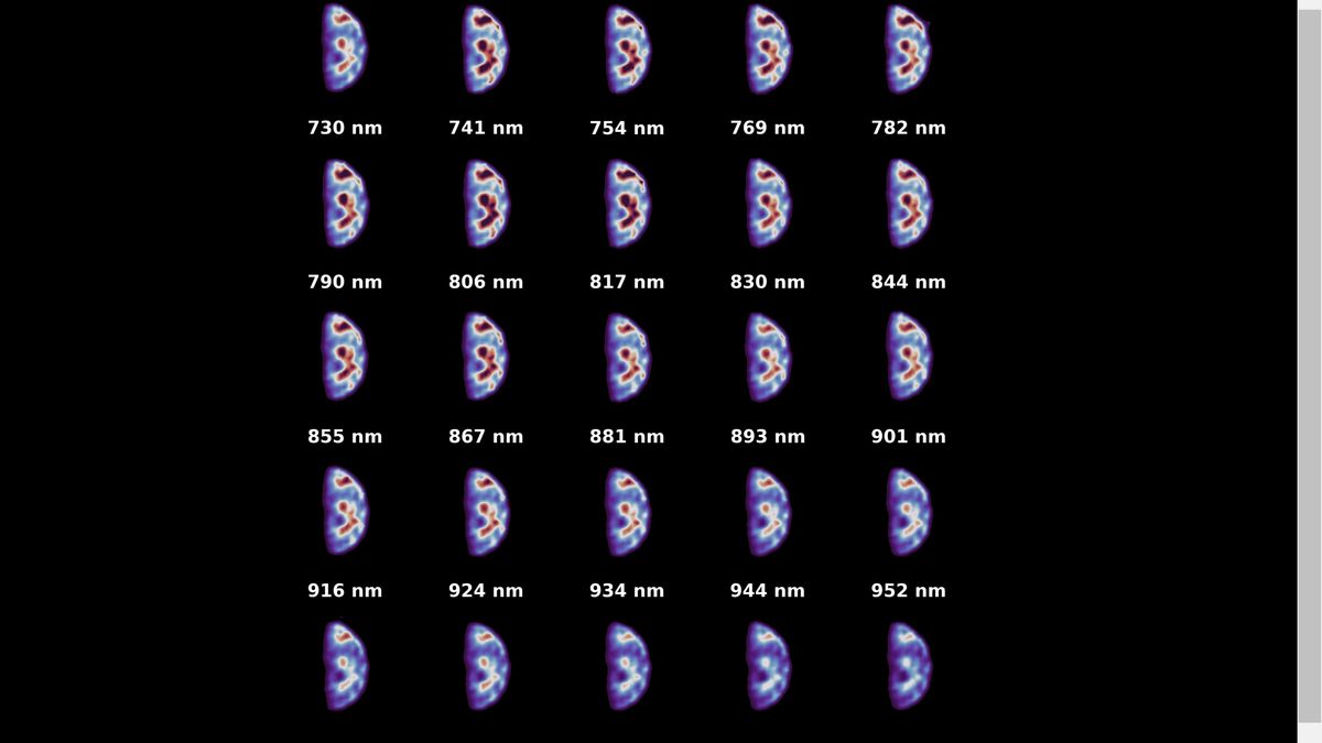 Spectacular New Views of Earth Captured by ESA’s Hera Spacecraft