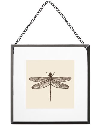 Photo frame with dragonfly picture