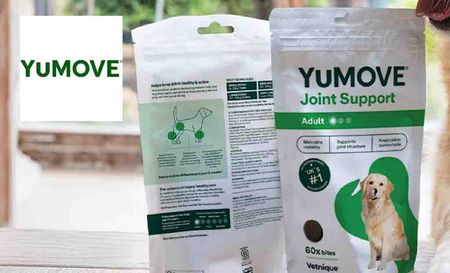 Yu Move logo top left with a image of Yu Move Joint support for dogs