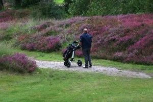 Stewart Golf R1 Push trolley in play