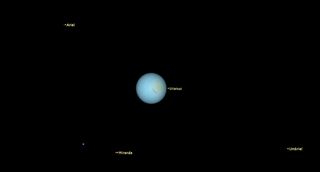 a small pale blue orb is labeled Uranus, in the top and bottom left and bottom right are light dots labeled Ariel, Miranda and Umbriel, respectively.