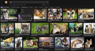 DuckDuckGo AI image filter