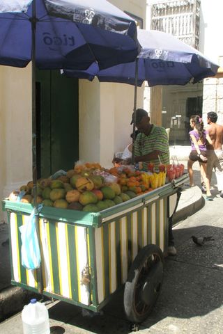 Mango stall