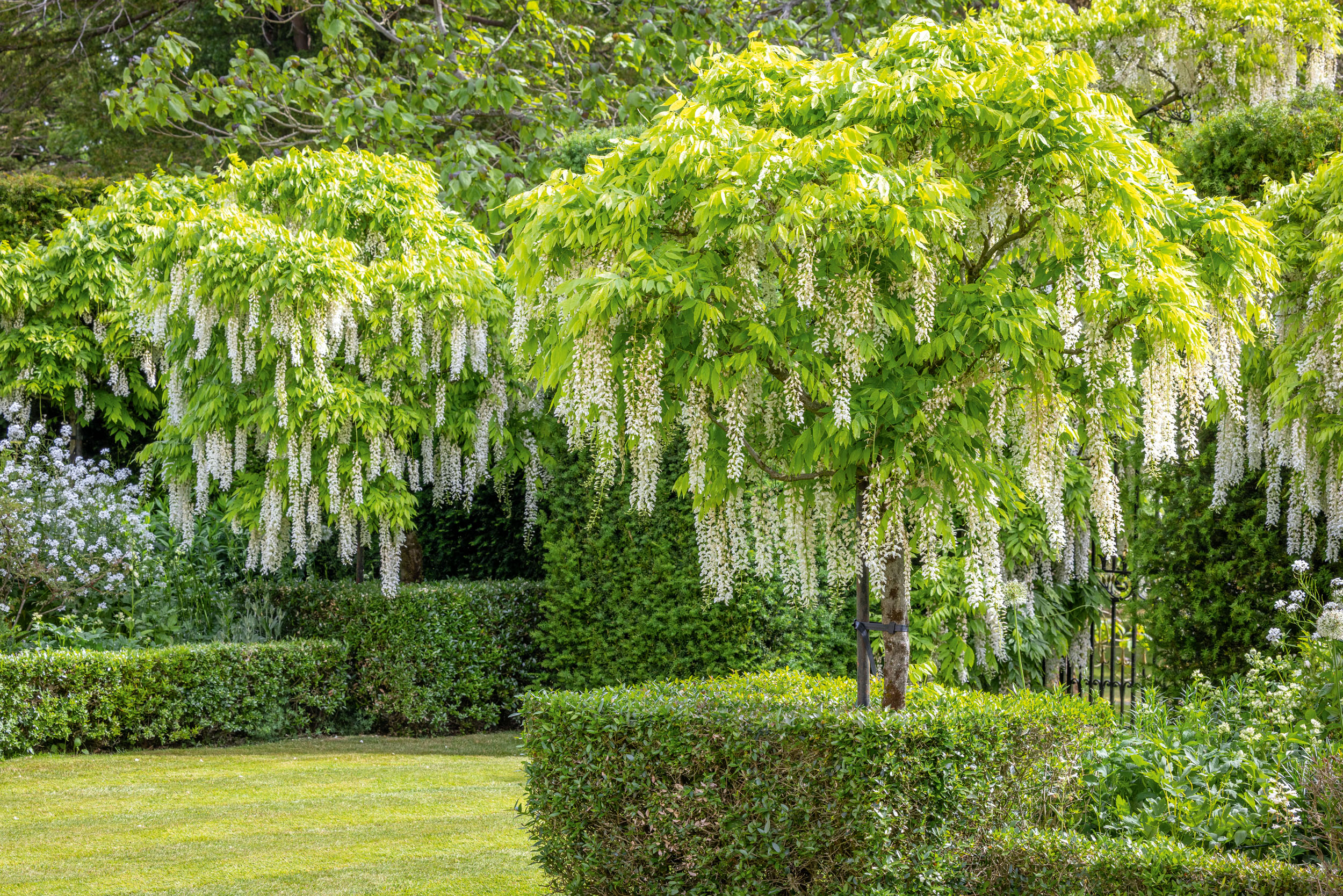 Ferne Park, Wiltshire