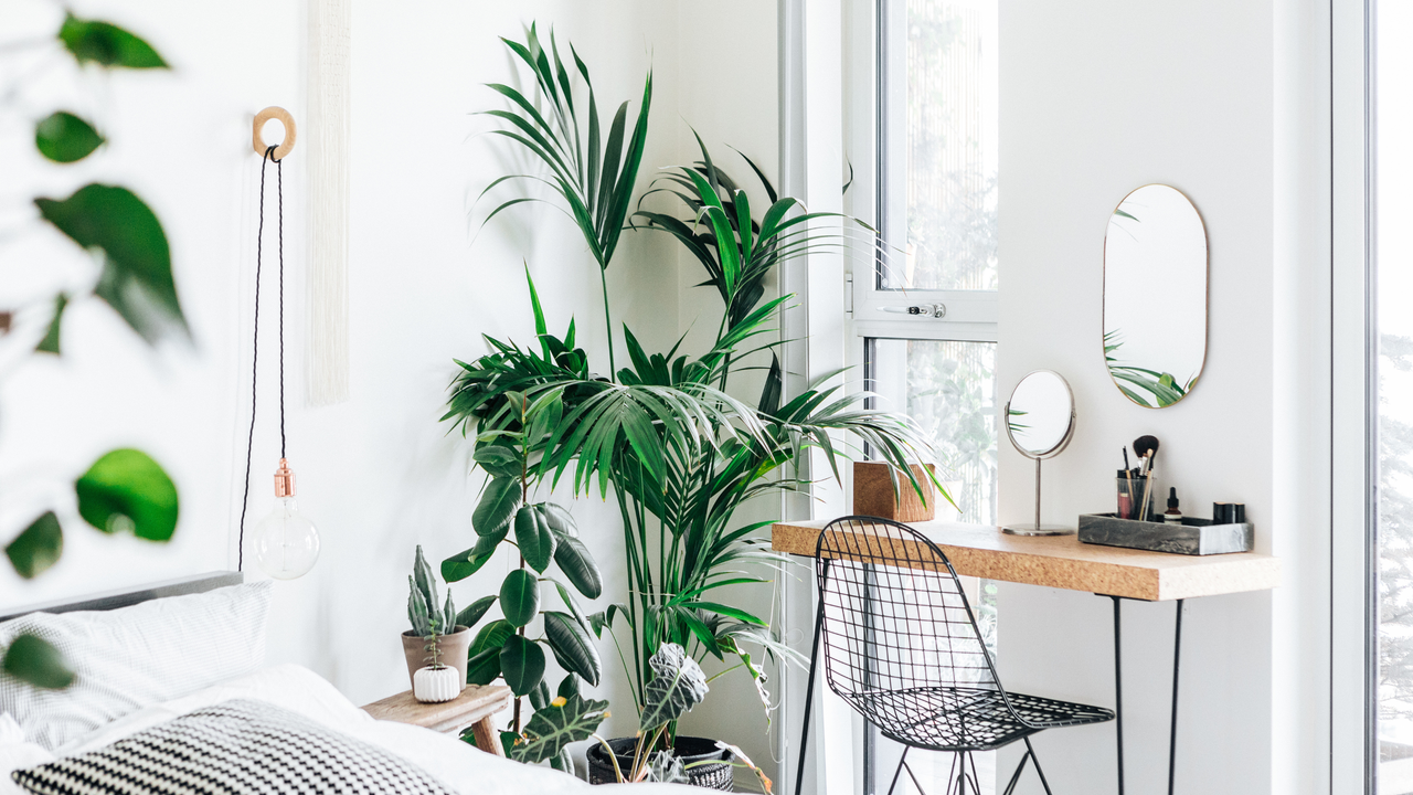 A bed next to a desk and a pot plant.