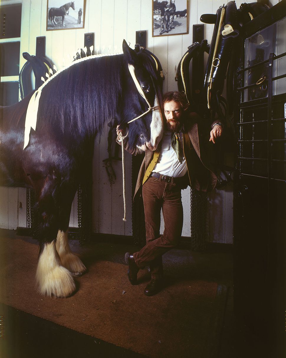 Heavy horses jethro tull. Jethro Tull Heavy Horses 1978. Jethro Tull – Heavy Horses. Jethro Tull album Heavy Horses foto. The Heavy Horses группа.