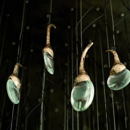 Top 10 Lights: Seed Cloud by Ochre