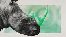 Photo collage of a rhinoceros with a glowing green overlay on its horns