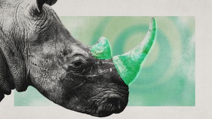 Photo collage of a rhinoceros with a glowing green overlay on its horns