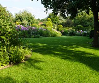 large lawn area surrounded by flower beds