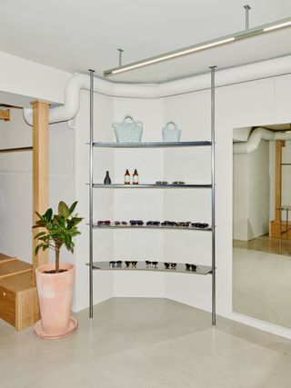 plant pot next to shelves containing bags, bottles and glasses
