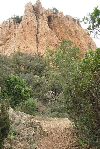 An example of the trails
