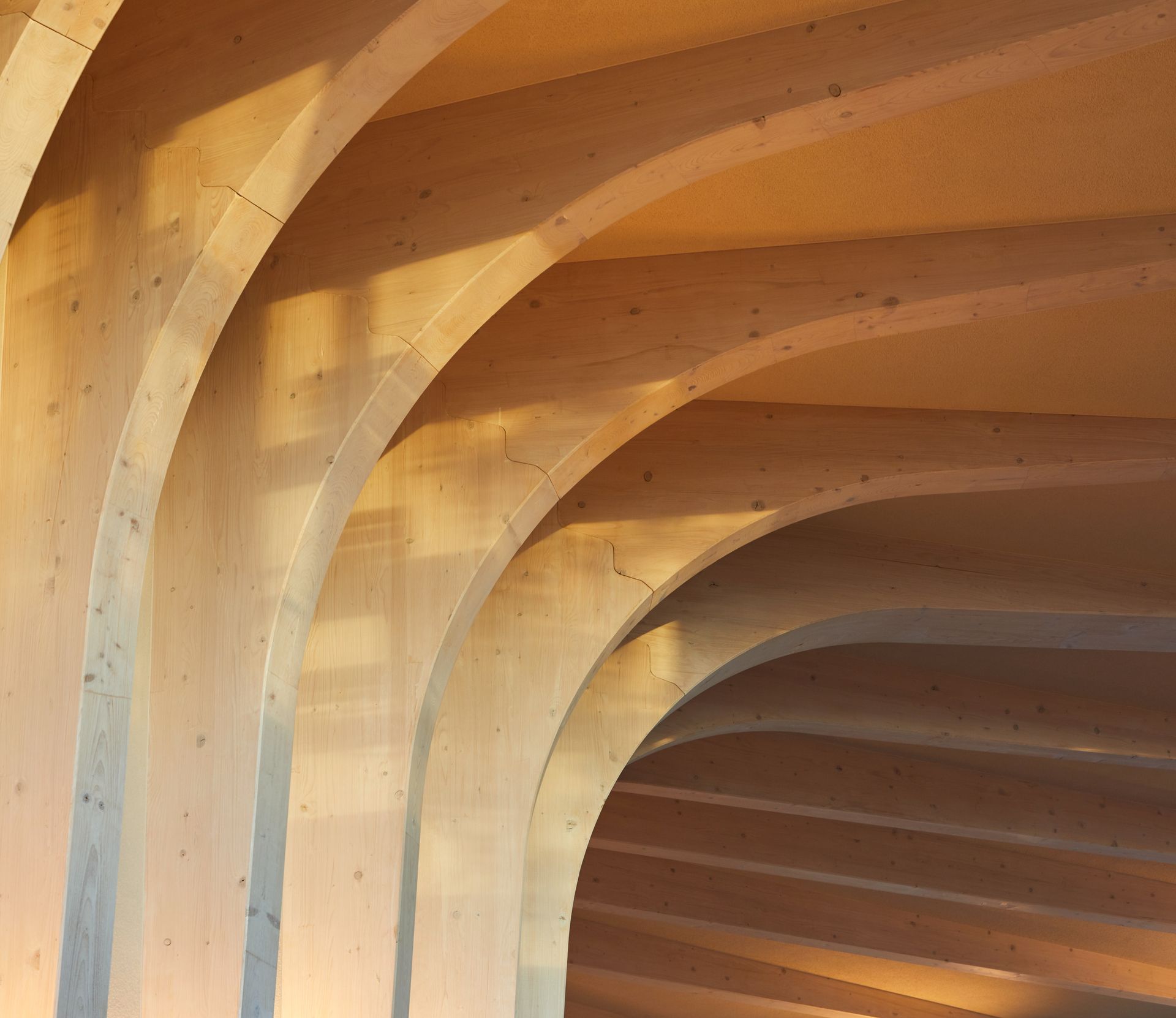 Wooden frames along wall and ceiling