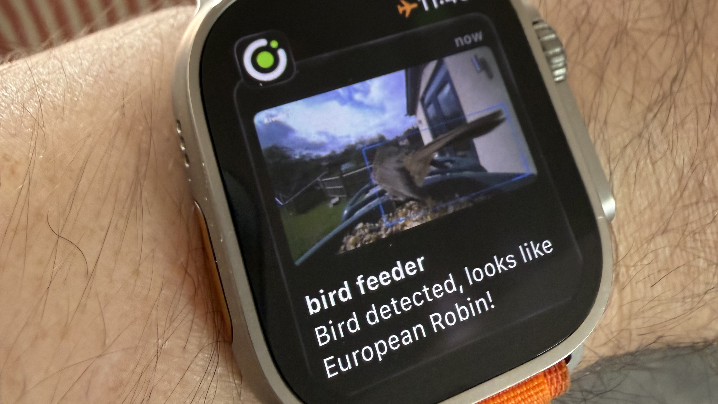 A Beako AI 4K smart bird feeder