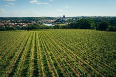 Sachsen and Saal-Unstrut