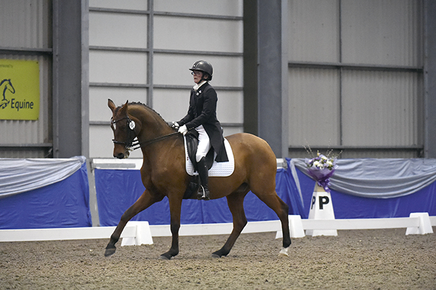 Holme Park Volnay ridden by Claire Gaskin, during the MFS PYO FEI W at Vale View EC British Dressage High Profile Show near Melton Mowbray, Leicestershire, UK on 17th October 2015