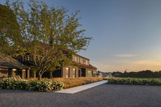 tree landscaping ideas using a large Kwanzan cherry tree in a gravel yard