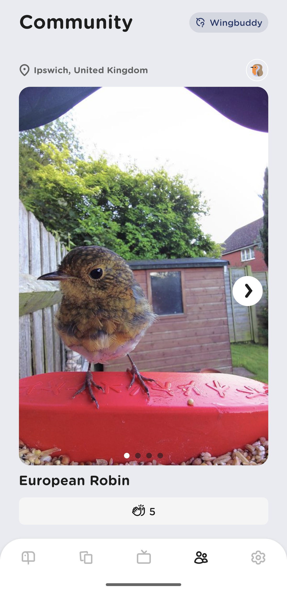 Birdbuddy smart feeder pictures of birds