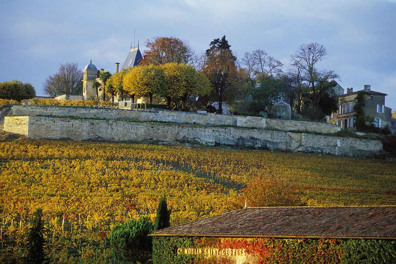 DES275.st_emilion.vineyards_for-web.jpg