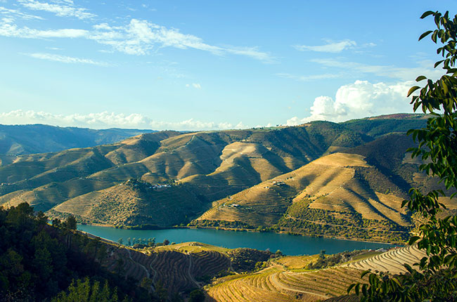 Douro Soul wines project