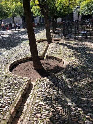 Uma foto de um caminho pavimentado com recortes para árvores e drenos de água da chuva passando entre cada recorte de árvore