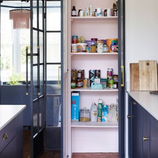 kitchen pantry with food items on kitchen shelves