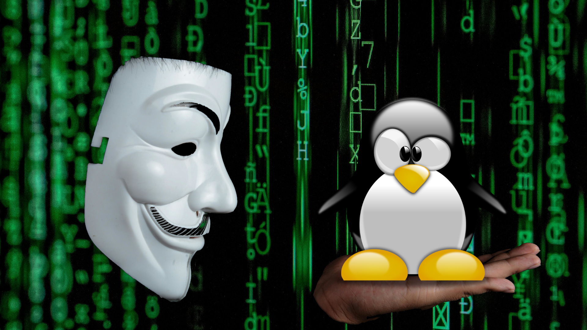 A hacker holding Tux the Penguin