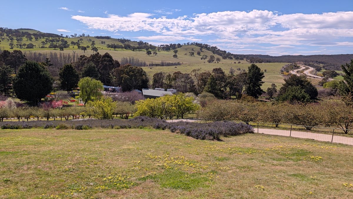Google Pixel 11 camera samples