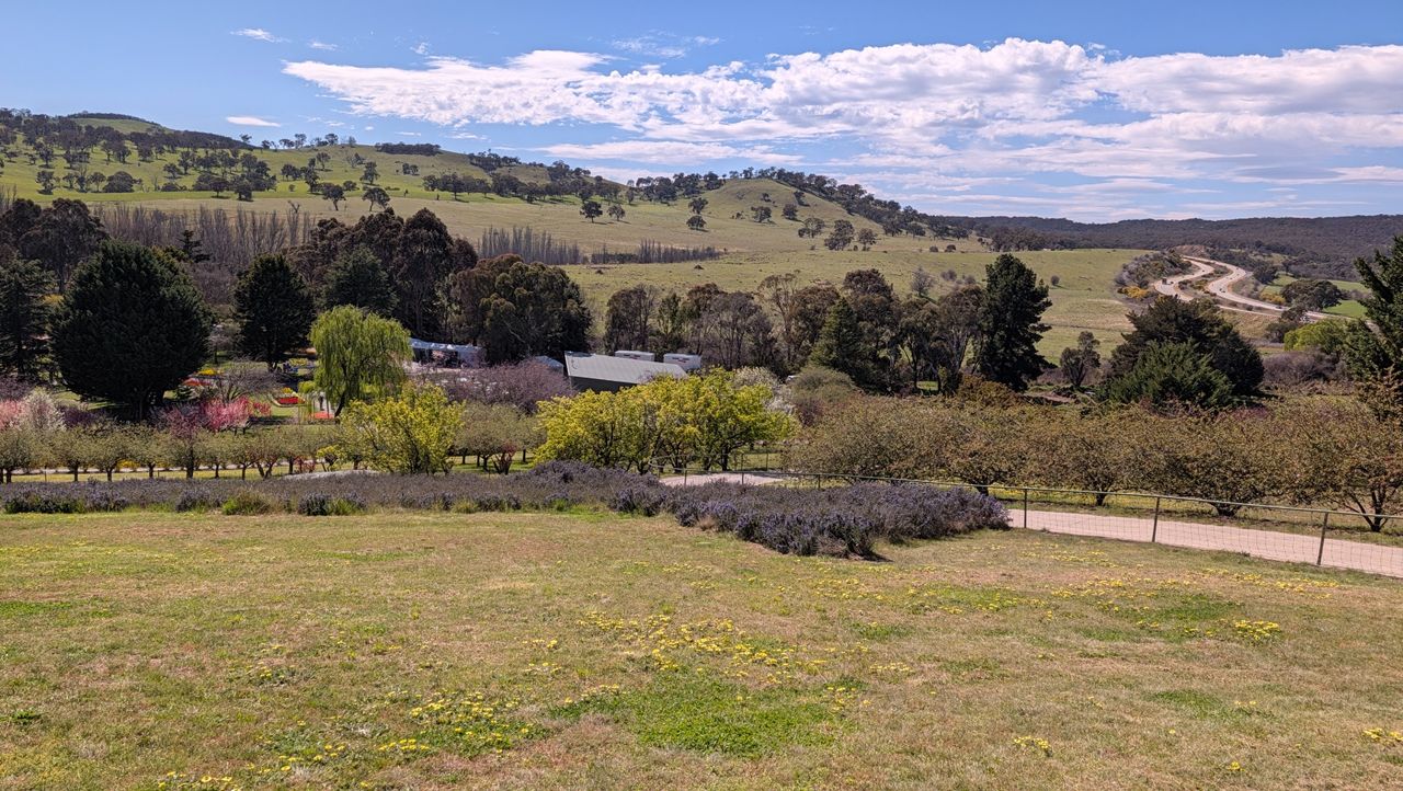 Google Pixel 11 camera samples