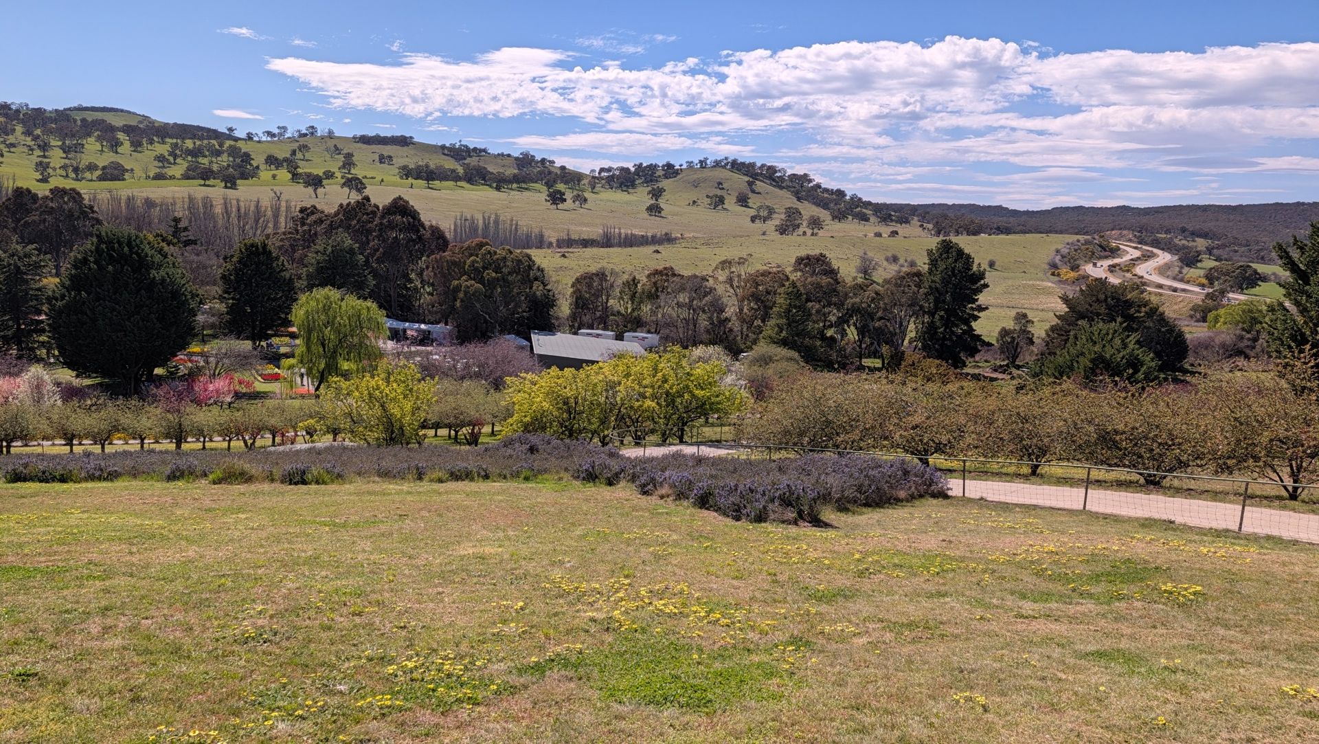 Google Pixel 11 camera samples