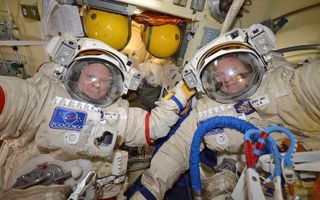 Expedition 56 spacewalks