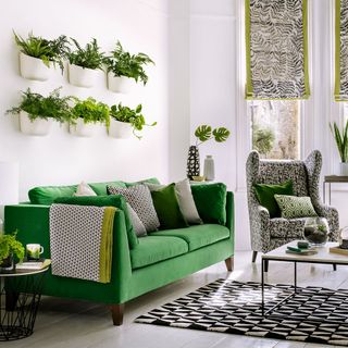 White living room with a green sofa, wall plants a coffee table and green décor