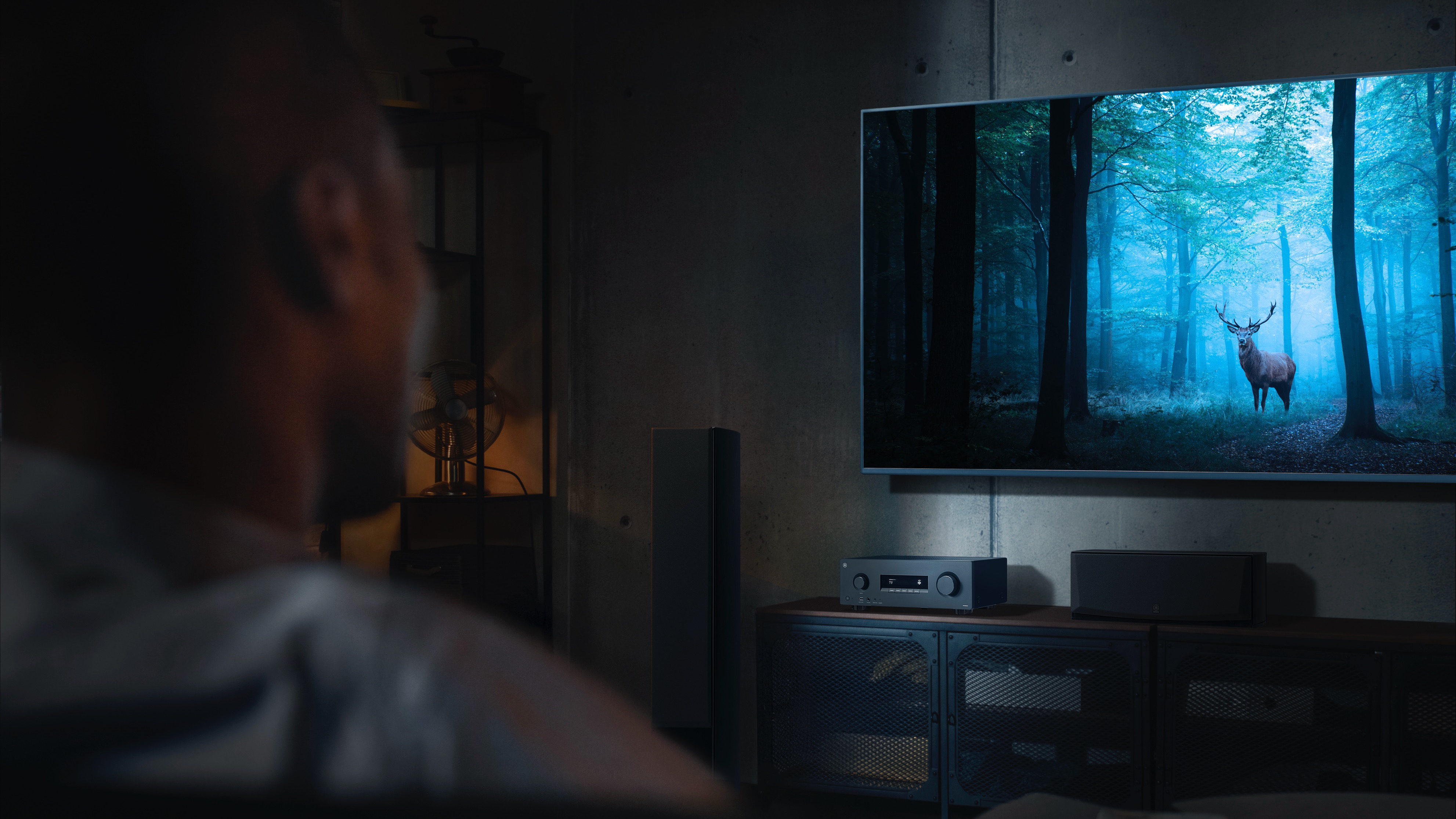 A man on a sofa in a dimly lit room watching a TV showing a deer in a woodland scene. Beneath the TV is a Yamaha RX500A AV receiver.