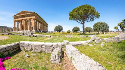 The Temple of Neptune