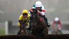 Brave Seasca on the way to winning at Warwick