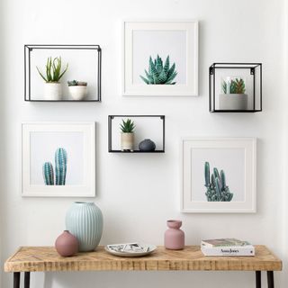 white wall with frames and plant pot wooden table with pots and books