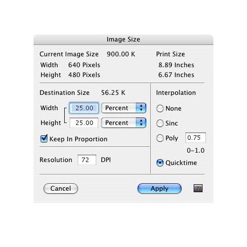 Compositor image: This window is where you adjust your image's size.