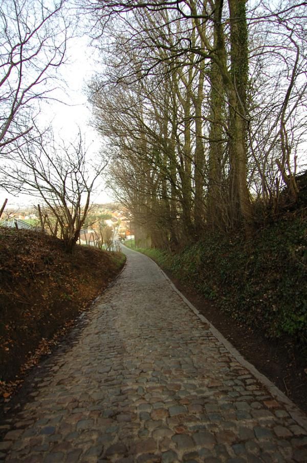 Sunrise on the Koppenberg.