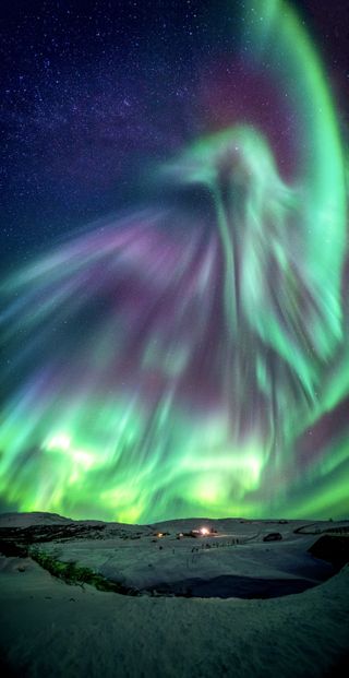 Dragons weren't the only supernatural beings to haunt the skies during the light show; a picture of a phoenix aurora was snapped the same night.