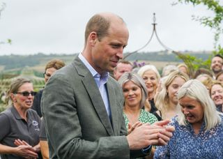 Prince William takes part in a walkabout